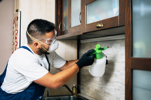 Best Local Pest Control Services  in Citronelle, AL