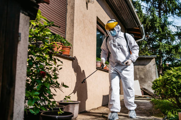 Best Exterminator Services  in Citronelle, AL