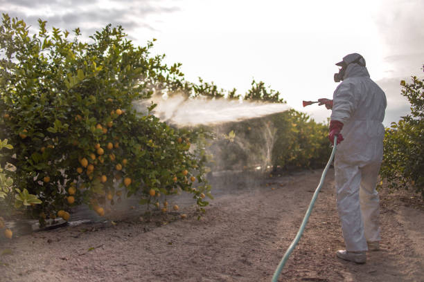  Citronelle, AL Pest Control Pros