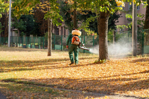 Pest Control for Restaurants in Citronelle, AL