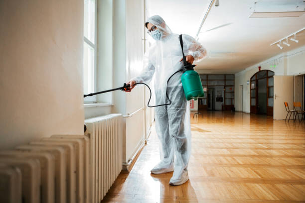 Best Pest Removal Services  in Citronelle, AL