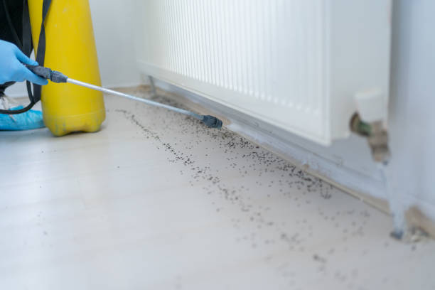 Best Emergency Pest Control  in Citronelle, AL