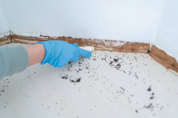 Best Best Pest Control Companies  in Citronelle, AL