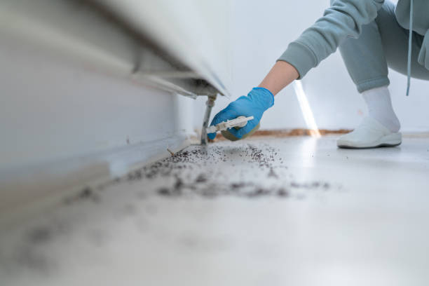Best Pest Control Treatment  in Citronelle, AL