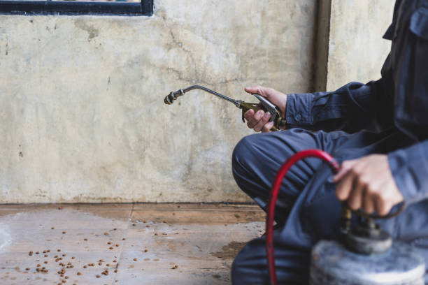 Best Cockroach Control Services  in Citronelle, AL